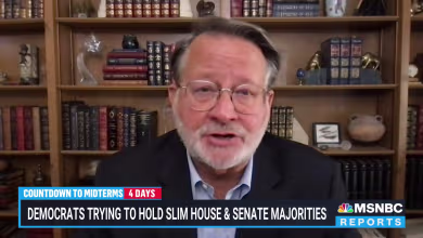 DSCC Chair Sen. Gary Peters seeing ‘record early voting’: ‘We’re confident that those are Democrats’