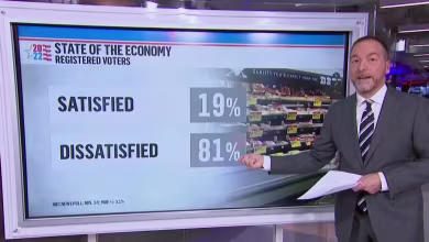 Midterms will come down to ‘fundamentals’ versus ‘polarization’