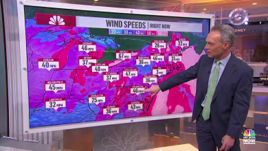 Winter storm forecast: Hurricane-strength winds hit Buffalo