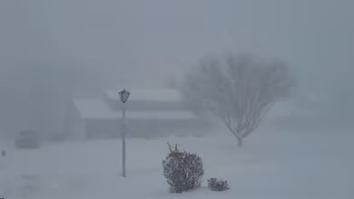 Watch: Video shows blizzard-like conditions in Buffalo, New York