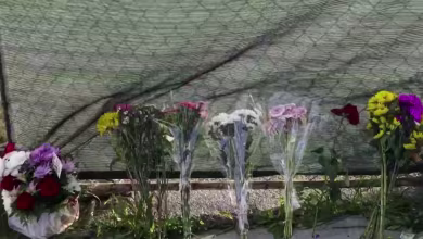 Monterey Park mass shooting victim's family 'never imagined her life would end so suddenly'