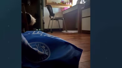 Michigan State student describes hiding under bed during lockdown