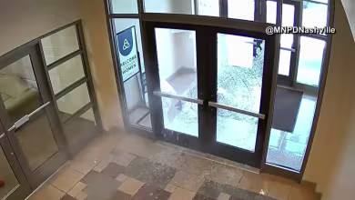 How to spot the warning signs of a potential mass shooter