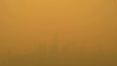 Wildfire smoke grounds flights out of NYC