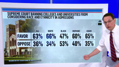 Polls find split support of affirmative action in college admissions