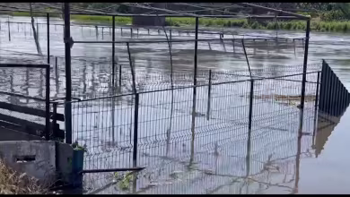 Water levels in Dnieper River tributary rise more than 3 feet after Kakhovka dam breach, residents say