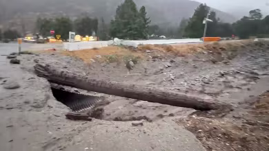 Video shows destruction caused by storm Hilary in Oak Glen, Calif.