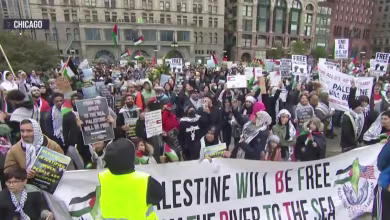 Protests erupt coast to coast a week after Hamas attack on Israel
