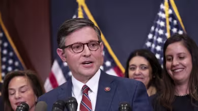 GOP Rep. Mike Johnson elected as next House speaker