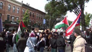 Hundreds of pro-Palestinian protesters take to the streets in NYC
