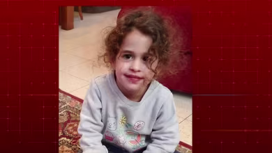 Full special report: Third round of hostages released by Hamas