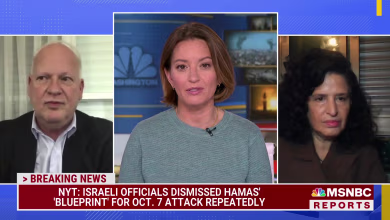 'He's not going to survive this' Netanyahu in hot water after NYT report on Hamas attack