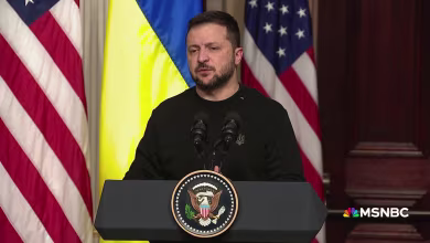 'That's insane, to be honest': Zelenskyy slams suggestion of ceding territories to Russia