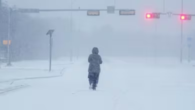 Deadly arctic blast grips more than 80% of the country