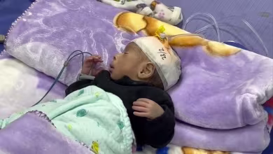 Gaza hospital overwhelmed by hunger and malnutrition among neonates