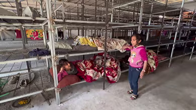 Displaced families in Gaza living in a chicken coop for safety