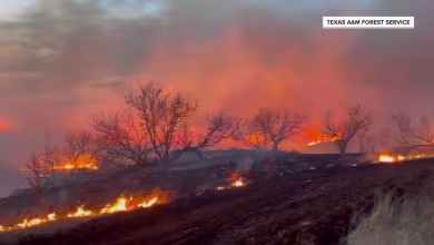 Deadly Texas wildfires, just 3% contained, scorch 1 million acres