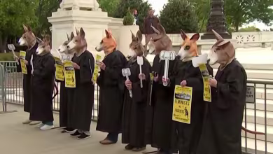 Protesters demonstrate outside Supreme Court ahead of Trump immunity case
