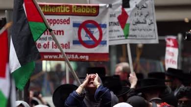 Pro-Palestinian protesters attempt to interrupt Met Gala