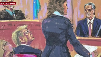 Michael Cohen testifies that 'everything' needed Trump's sign-off