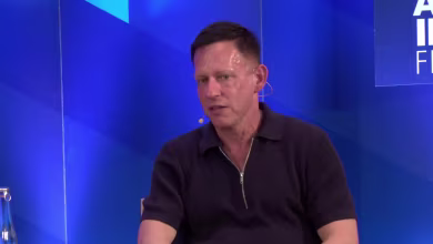 Peter Thiel says he will vote for Trump ‘if you hold a gun to my head’
