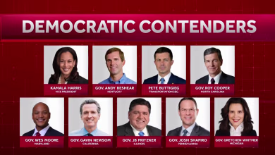 Who are potential contenders to replace Biden in the 2024 race