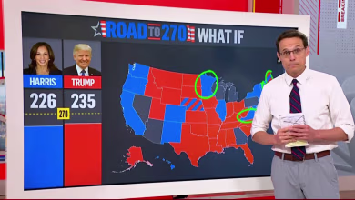 Steve Kornacki breaks down how a potential Trump-Harris matchup would change the race