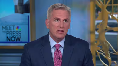 Former Speaker Kevin McCarthy: DEI attacks on Harris are ‘stupid and dumb’