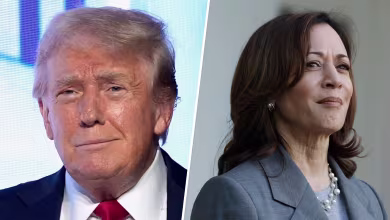 Trump appears likely to debate Harris as campaigns heat up