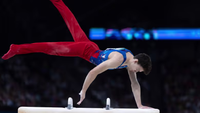 Nedoroscik heroic on pommel horse to clinch bronze
