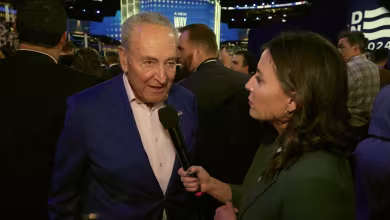 Schumer comments on push for Palestinian speaker at DNC
