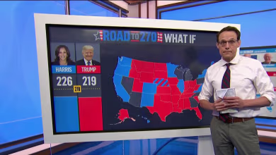Steve Kornacki breaks down the state of the race with 75 days to go