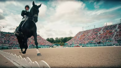 Paris equestrian in review: Highlights from the 2024 Games