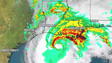 Outer bands of Hurricane Francine reach New Orleans