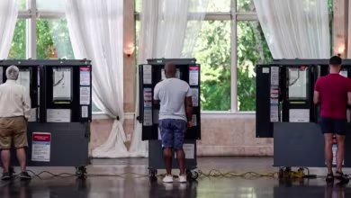 Georgia election board orders votes to be counted by hand