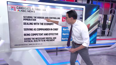 Harris leads in latest polls but Trump scores high on key issues