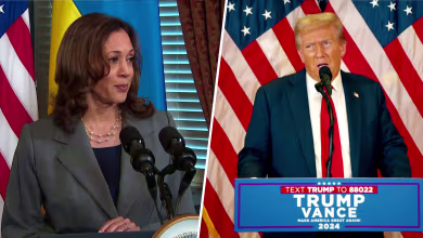 Harris to visit southern border, Trump to meet Ukraine's Zelenskyy