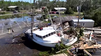 At least 58 dead in catastrophic storms across the south and southeast