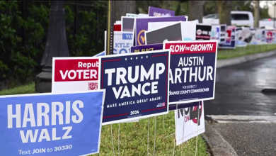 Political yard signs stolen and vandalized as election tensions rise