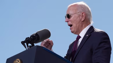 'What about the people in Gaza?': Pro-Palestinian protester interrupts Biden's speech