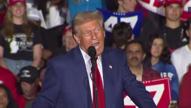 Trump rallies at Madison Square Garden as campaign enters final sprint