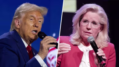 Donald Trump attacks Liz Cheney using violent language