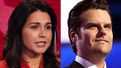 Rep. Himes: ‘Truth and analysis are not what drive’ Gabbard and Gaetz