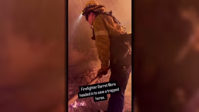 California wildfires: A look at the helpers, heroes, acts of bravery