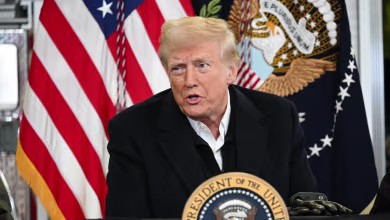 Trump: 'I think we're going to recommend that FEMA go away'
