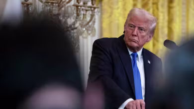 How courts determine when the executive branch exceeds its powers