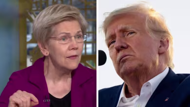 Sen. Warren slams Trump for 'cutting the parts of government that help bring down costs'