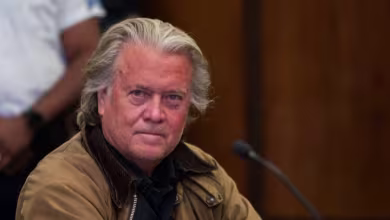 Steve Bannon pleads guilty in helping defraud Southern border wall donors