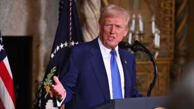 Trump calls Elon Musk a 'patriot' when questioned about his role in DOGE