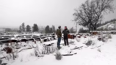 Trump’s hiring freeze stalls onboarding process across federal firefighting agencies